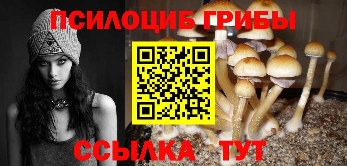 Галлюциногенные грибы Magic Shrooms  Вход с VPN  Полысаево 