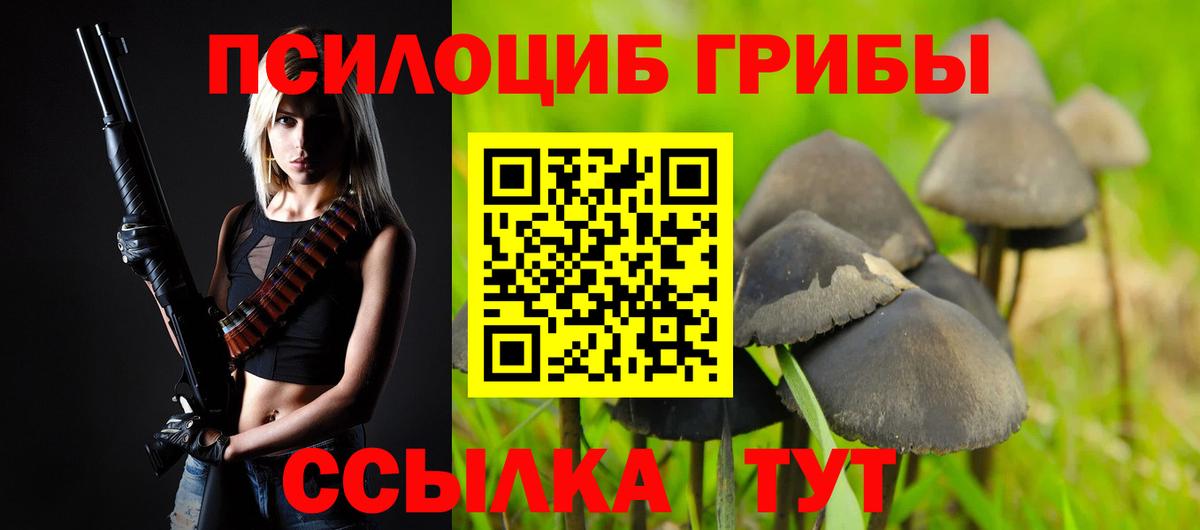 Псилоцибиновые грибы ЛСД Полысаево